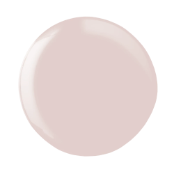 ESMALTE GEL PERMANENTE ANDREIA Nº269